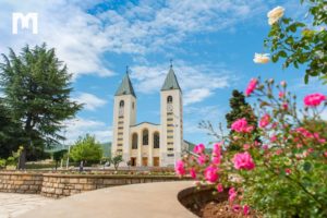 100345048 3592399097443856 4048720392670412800 O 300x200