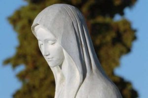 1588870450717 300x199