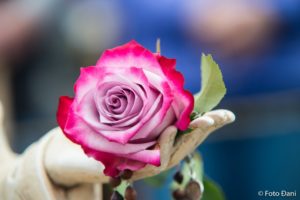 29060135 1633826539987310 248391041605086866 O 1800x1198 300x200