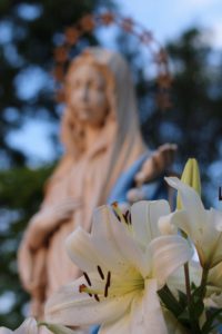 Zobrazhennya Viber 2020 05 01 22 36 22 800x1200 200x300