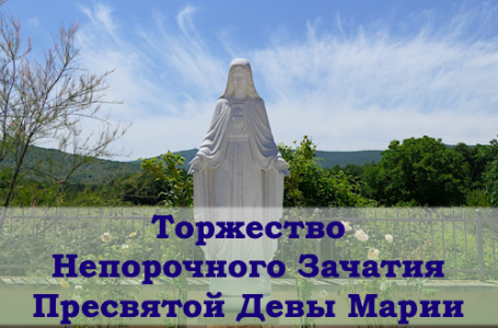 Урочистість Непорочного Зачаття Пресвятої Діви Марії – 8.12.2021