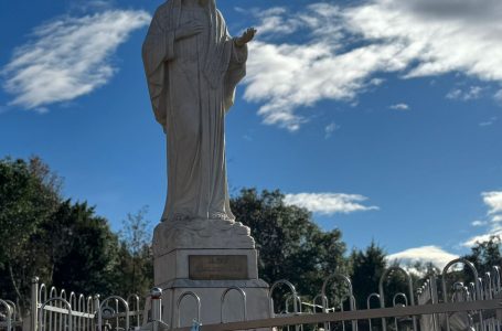 14 грудня 2025 ІІI Неділя Адвенту, рік А