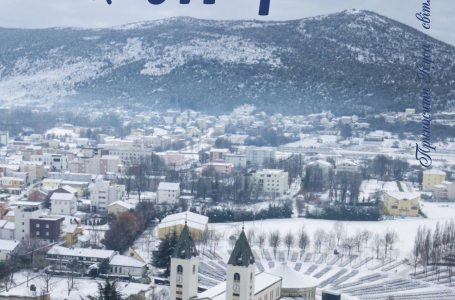 Світло Марії. Грудень 2025