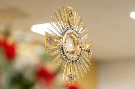 ПІДГОТОВКА ДО ЄВХАРИСТІЇ (о. Славко Барбарич, OFM)